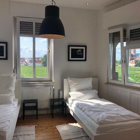 Luxe Apartment Am Rhein Вормс Экстерьер фото
